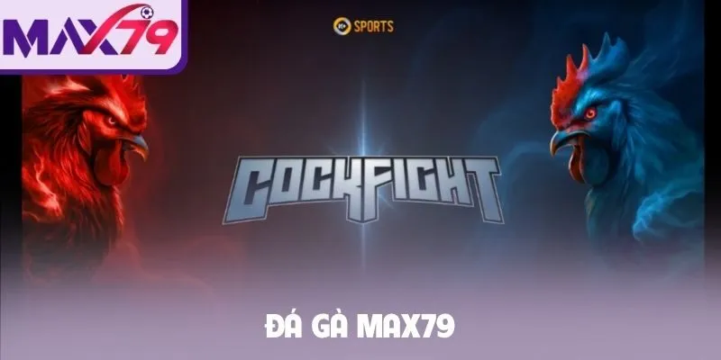 Đá gà Max79