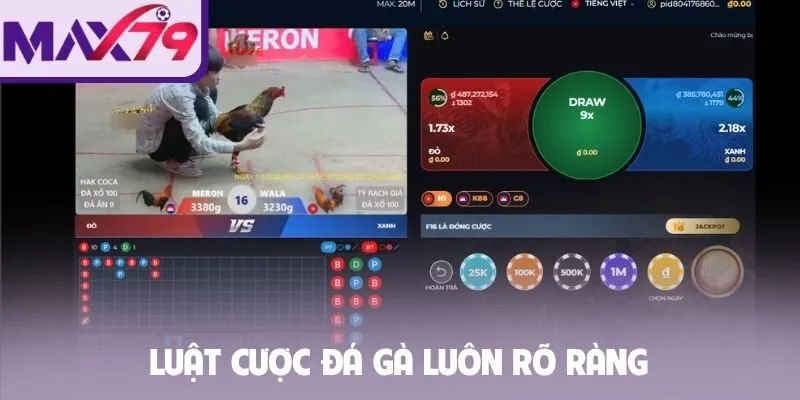 Luật cược đá gà luôn rõ ràng