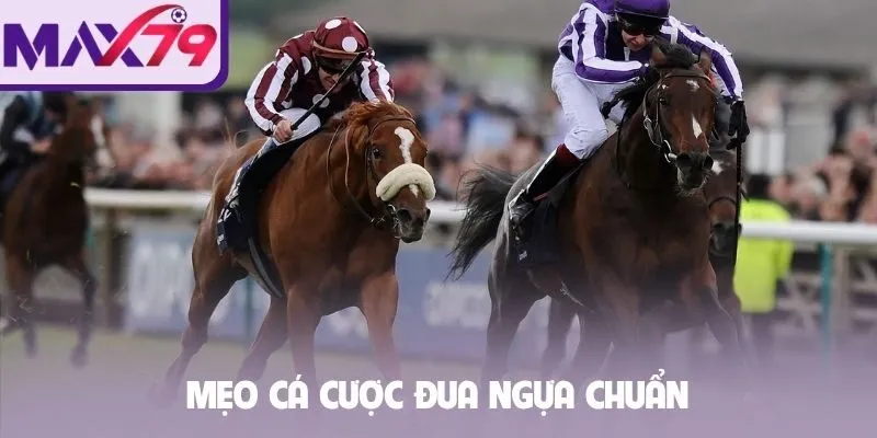 Mẹo cá cược đua ngựa chuẩn