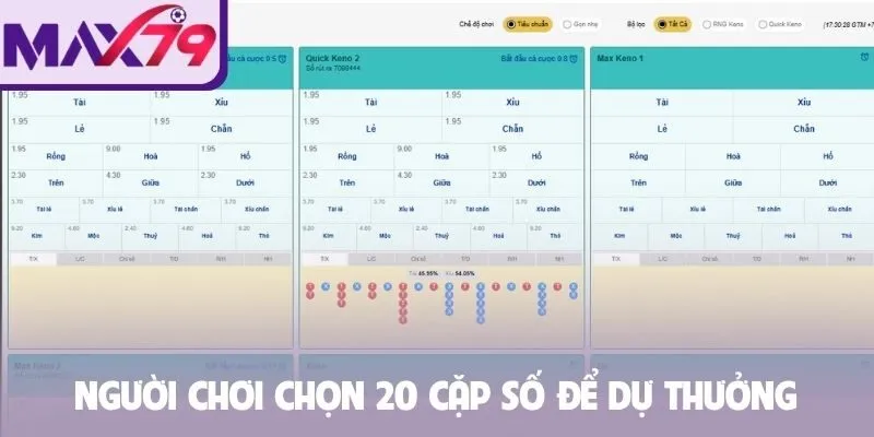 Người chơi chọn 20 cặp số để dự thưởng