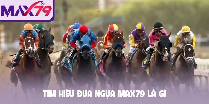 Tìm hiểu đua ngựa MAX79 là gì